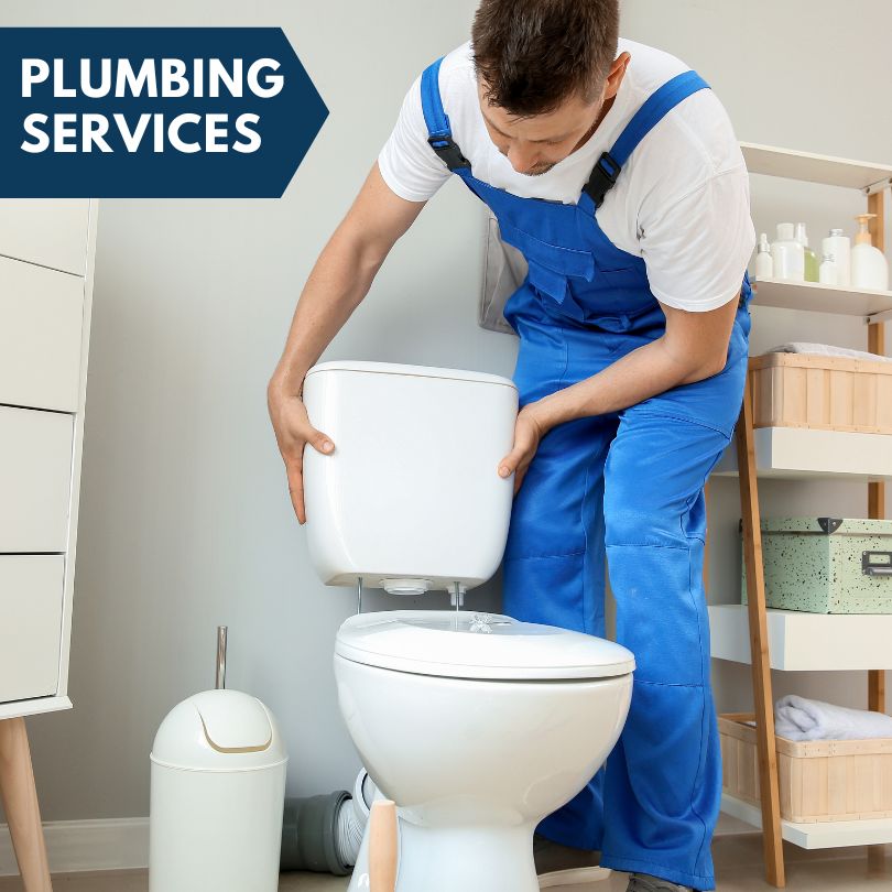 Plumbing Company in West Olive, MI